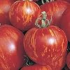 Tigerella - rot-gelb gestreifte Stab-Tomate - alte Sorte - 10 Samen
