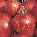 Tigerella - rot-gelb gestreifte Stab-Tomate - alte Sorte - 10 Samen