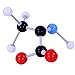 Wisehands Organic Chemistry Molecular Model, Student and Teacher Set (50 Atom Parts) with Grey Box