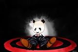 Artist Prints: Panda Bear: Animal Art Modern Pop Art Canvas. 48