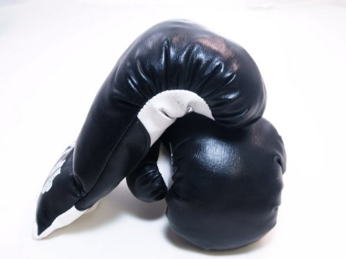 Black Corner - 20oz boxing Gloves Sport Fitness Training
