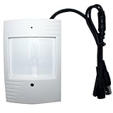 New GW Professional 600TVL 1/3" Sony CCD Security Hidden Camera - 600 TV Lines, 3.7mm Lens Wide Angle. PIR Motion Detector Shaped Super Small Pinhole Spy Camera