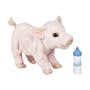 Furreal Friends Newborn Piglet