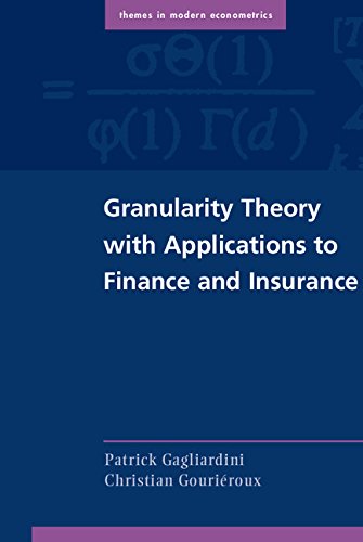 Granularity Theory with Applications to Finance and Insurance (Themes in Modern Econometrics)