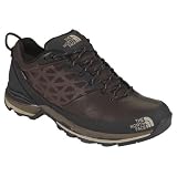 Men's The North Face Brown Havoc GTX XCR Shoes