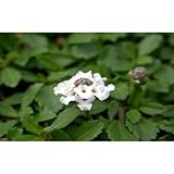 ���i�̏ڍ�