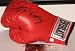 Floyd Mayweather Jr. Autographed Boxing Glove