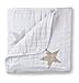 aden + anais dream blanket, super star scout