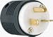Tools & Hardware : PASS & SEYMOUR #PS5466XCC 20A BLK/WHT Straig Plug