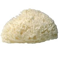 LATHER Natural Sea Wool Sponge 1 oz.
