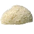 LATHER Natural Sea Wool Sponge