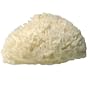 LATHER Natural Sea Wool Sponge 1 oz.