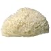 LATHER Natural Sea Wool Sponge 1 oz.