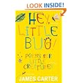 Hey Little Bug: Poems for Little Creatures