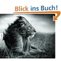 A Shadow Falls: Schatten �ber der Wildnis