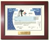 A Real Share of Dominos Pizza Stock - A Unique Unusual Gift for Boys