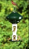Avian Series Sunflower Bird Feeder, Green