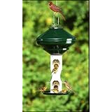 Avian Series Sunflower Bird Feeder, Green by Audubon