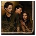 The Twilight Saga: New Moon Lunch Napkins (16 count)