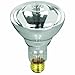 Feit Electric 100BR30/FL-12 100-Watt R30 12-Volt Pool/Spa Flood Reflector, BR30 100 Watt