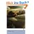 Moon Tiger (Penguin Modern Classics)