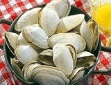 Steamer Clams - New England Steamer Clams 3 lbs