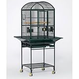 Avian Adventures 170500110-X Nina Dometop Bird Cage Color: Emerald Green