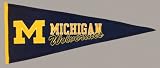 Michigan Wolverines Traditions Pennant