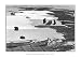 Ahmedabad, Gujerat, India 1966 by Henri Cartier-Bresson. Size 23.73 inches width by 16.01 inches height. High Quality Art Poster Print