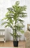 5 &acute; Silk Areca Palm Tree - B00302R2HE