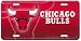 Chicago Bulls Street Flair Plate