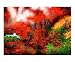 Subsiding Sun Emerging Artists Photographic Poster Print by Basil Filippone, 20x16