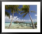 Pearl Beach Resort, Tikehau, Tuamotu Archipelago, French Polynesia Islands Framed Art Poster Print by Sergio Pitamitz, 31x25