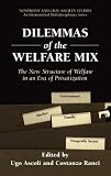 Dilemmas of the Welfare Mix: The New Structure of Welfare in an Era of Privatization (Nonprofit and Civil Society Studies)