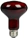 100 Watt Infrared Inc Nocturnal Bulb