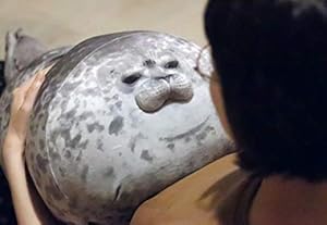 Rainlin Chubby Blob Seal Pillow Stuffed Cotton Plush Animal Toy