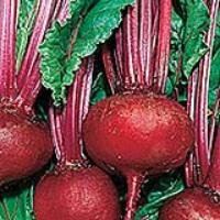 Beet-Detroit Dark Red