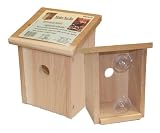 Nest View Bird House