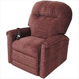 Action Lift Chair Select Series Lift Chair 250 2S Fabric: Mauve