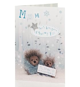 Cute Hedgehogs Christmas Card
