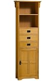 Craftsman 22w Single - door Linen Storage Cabinet