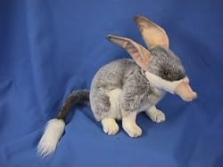 BILBY PLUSH TOY 10" H