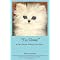 Animal Reincarnation Books cats dogs horses animals pets