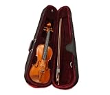 Legacy LVN-400 Student Violin Full Size (4/4) with Ebony and Boxwood Fittings, Case, Bow and D’Addario Helicore (USA) Strings