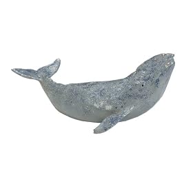 Calf Gray Whale, Monterey Bay Aquarium, Scale 1 40 by Monterey Bay Aquarium