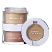 Sonia Kashuk® Let's Face It - Warm Tawny