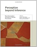 Perception beyond inference : the information content of visual processes