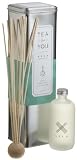 Review Xela  / Xela Limited Edition Tea For You, Mint Green Tea, 8-Ounce Tin