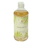 Thymes Dishwashing Liquid, Frasier Fir, 16-Ounce Bottle