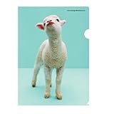 etrangerdicostarica A4NAz_[qcW MAM2-32-28